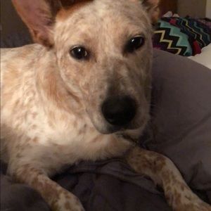 Meet your Posher, Halee